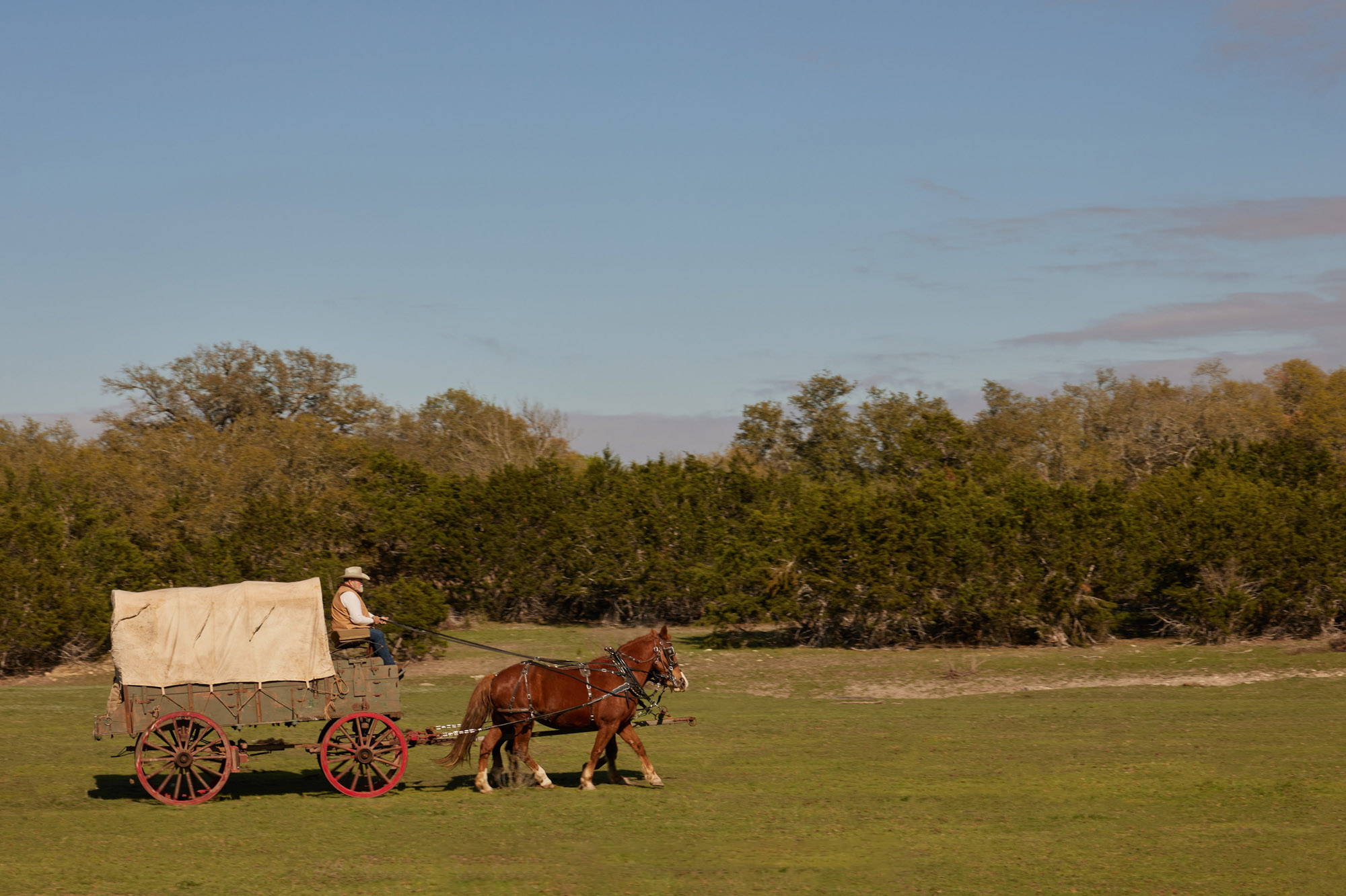 MARGARET’S WAGON