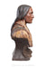 Miscellaneous, Folk Art, Native American Bust, Buckskin, Tobacco Advertising, Antique, 1907, 807