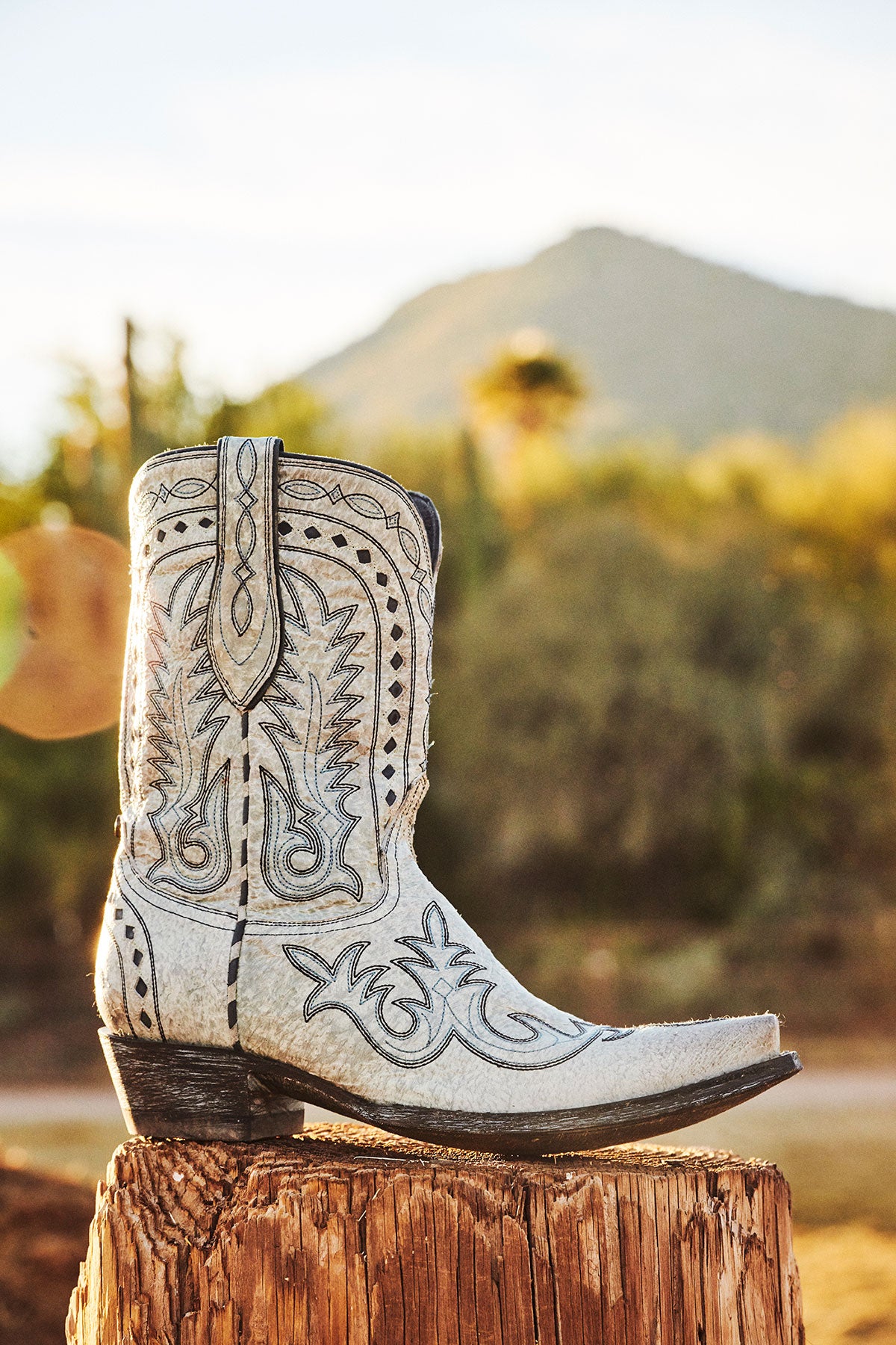 Boot, Texas Jack