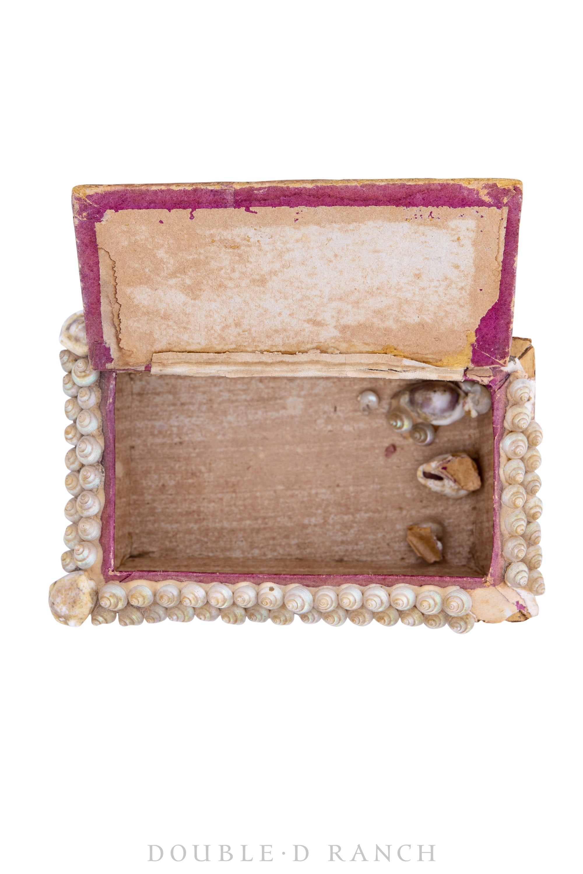 Miscellaneous, Encrusted Shell Box, Vintage, 484