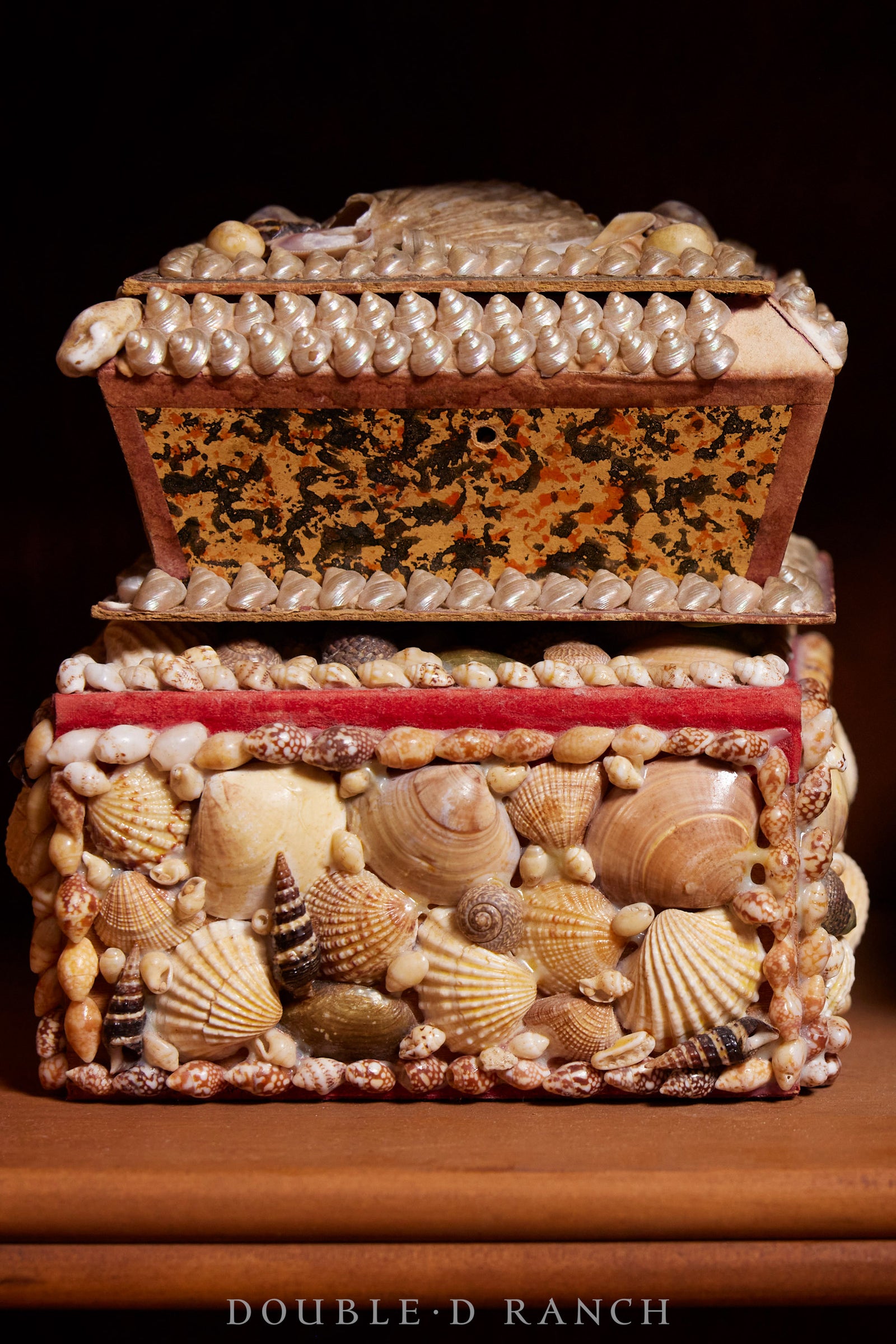 Miscellaneous, Encrusted Shell Box, Vintage, 484